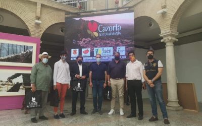 Cazorla acoge el II Circuito de Novilladas con Picadores de Andalucía