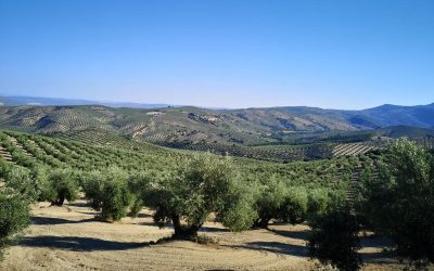 La comarca de la Sierra de Cazorla solicita un plan de choque a la Junta de Andalucía para paliar los daños que ocasionaron las tormentas de junio a los agricultores